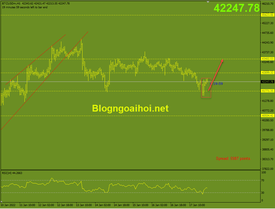 bitcoin-18-1-ho-tro-2-day