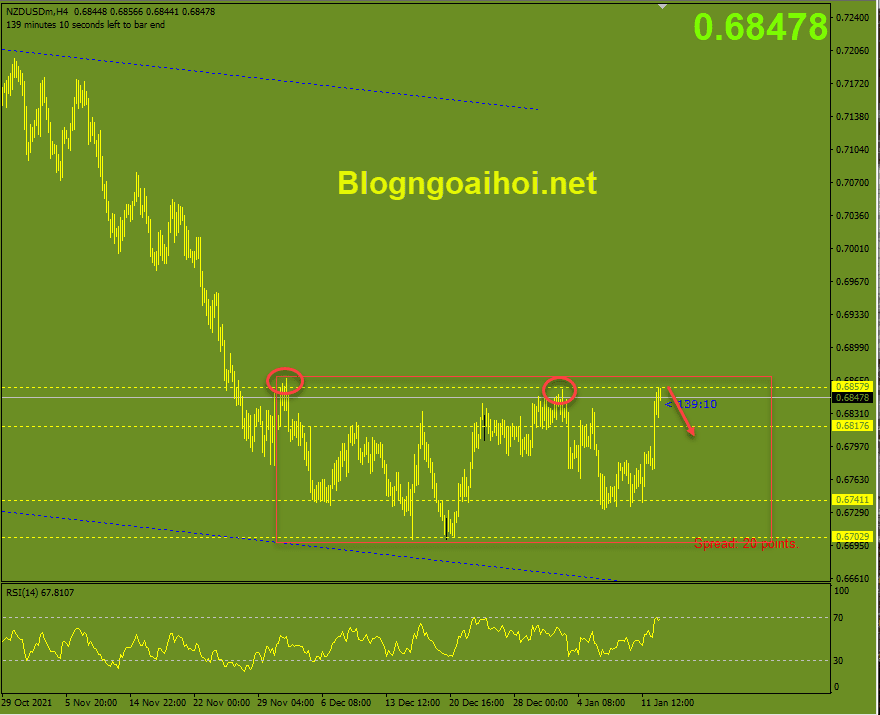 NZDUSD 13/1-Kháng cự đỉnh cũ