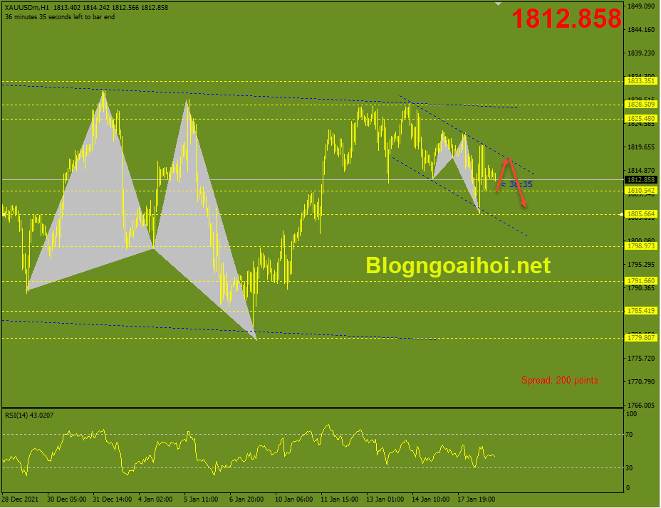 vang-19-1-kenh-gia-giam