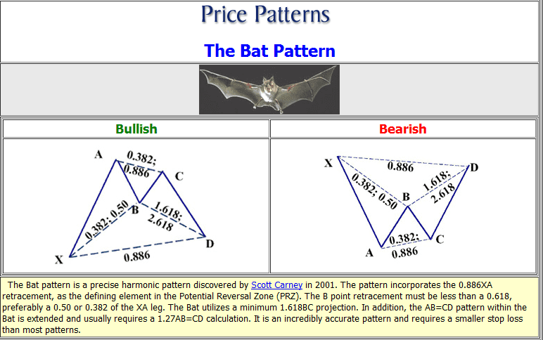 bat-mo-hinh-con-doi_optimized