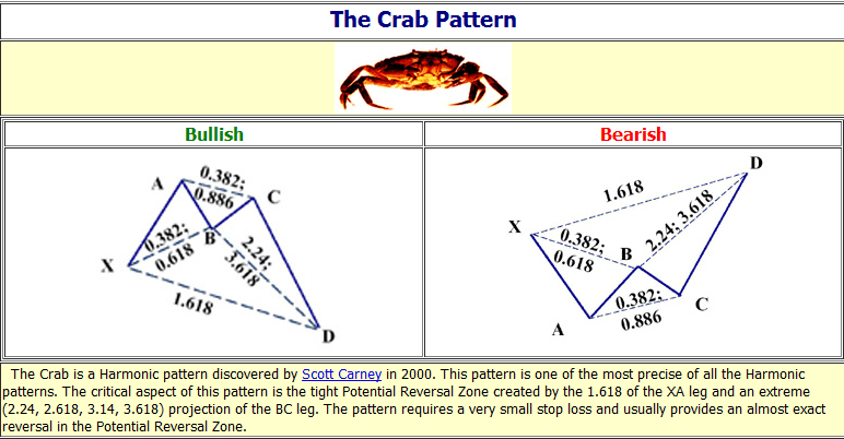 crab-mo-hinh-con-cua_optimized