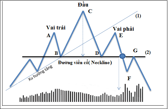 mo-hinh-vai-dau-vai-1_optimized.