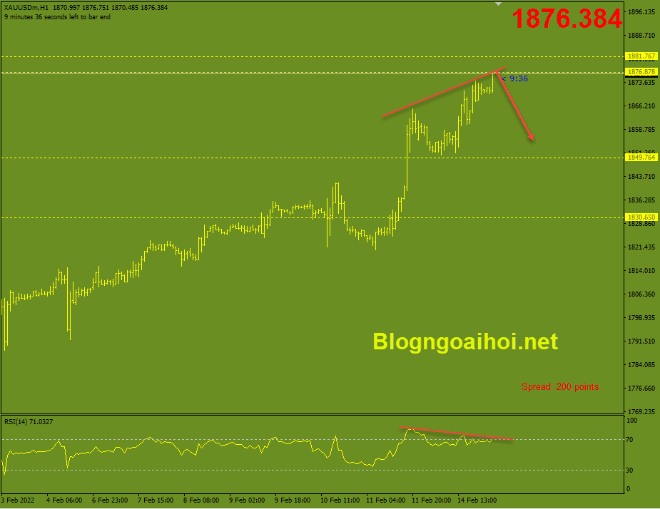 vang-15-2-phan-ky-giam_optimized.