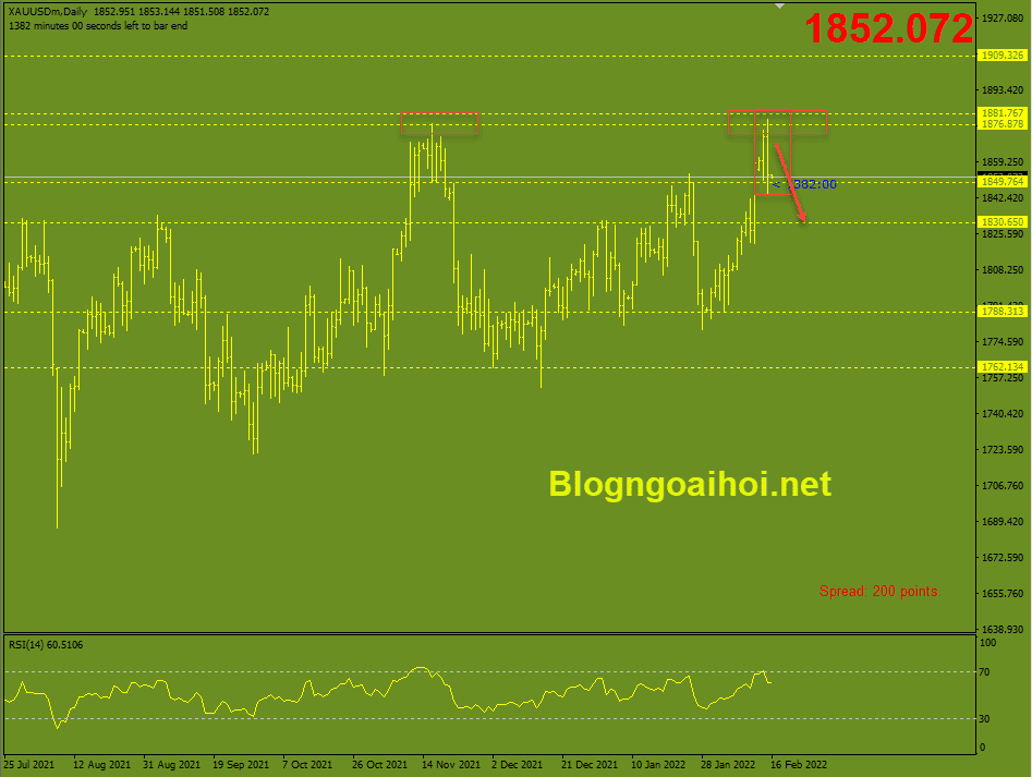 vang-16-2-mo-hinh-2-dinh_optimized