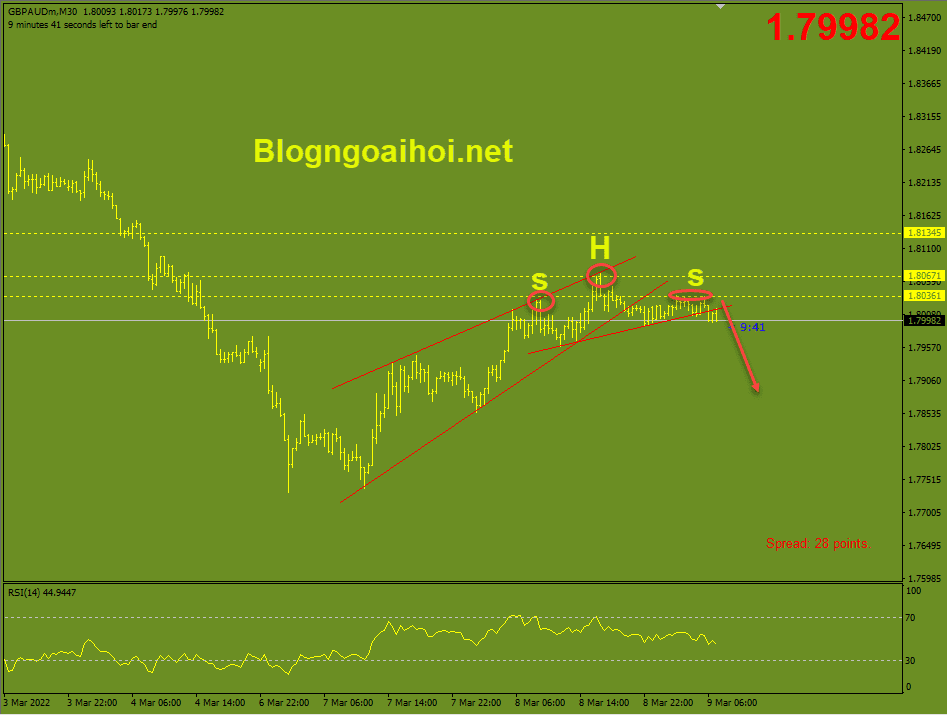 gbpaud-9-3-pha-vo-duong-co-neckline-vai-dau-vai