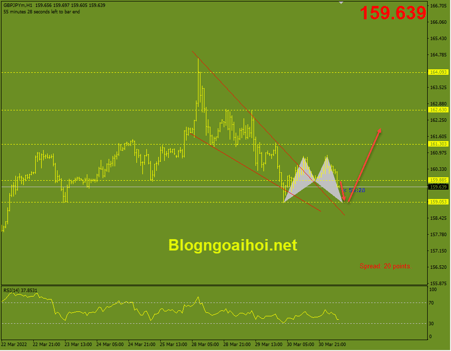 chiến lược giao dịch Vàng 31/3. 2gbpjpy-31-3-harmonic-tang_optimized.