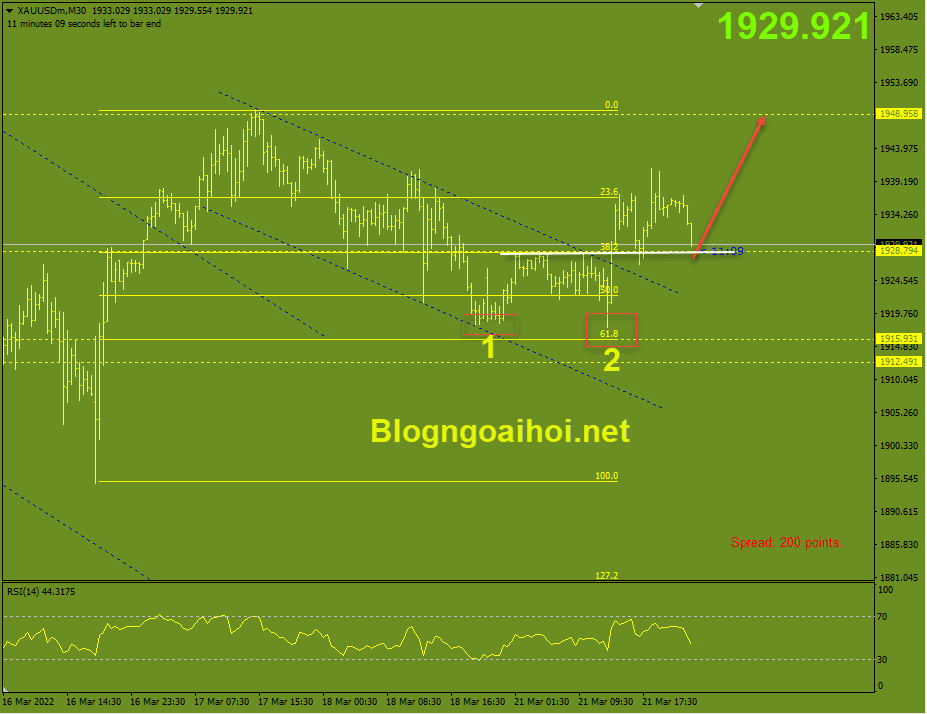 vang-22-3-mo-hinh-2-day_optimized