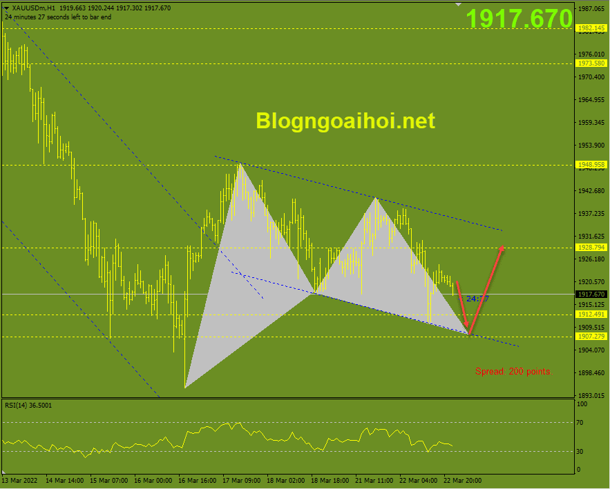 vang-23-3-harmonic-tang_optimized