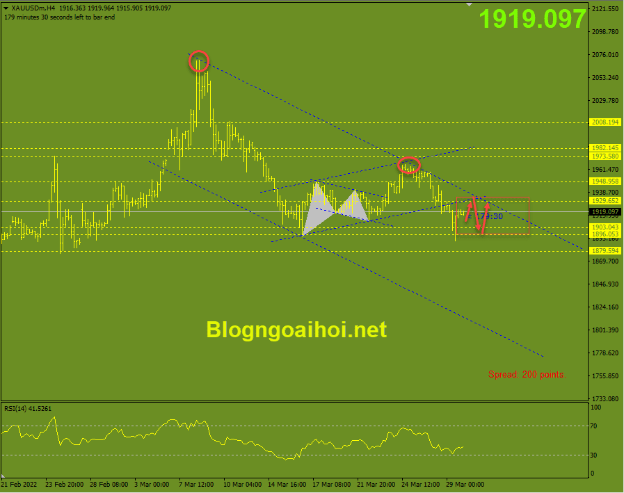 vang-30-3-di-chuyen-trong-range_optimized