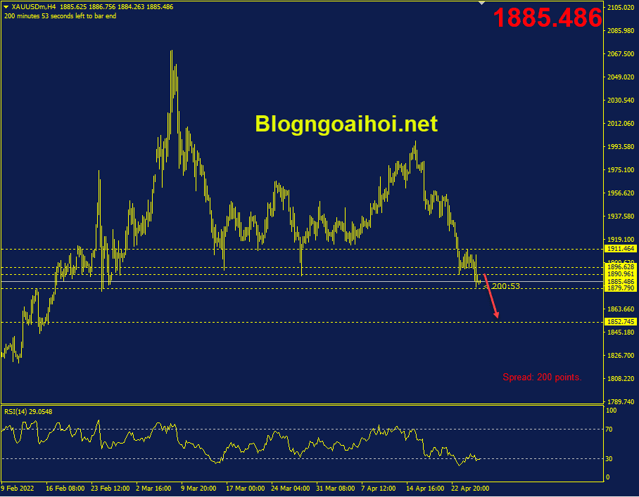 vang-28-4-tiep-tuc-suy-giam_optimized