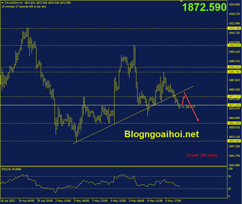 vang-phien-au-9-5-gay-trendline-ho-tro_optimized