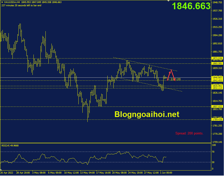 Dữ liệu bảng lương ADP-vang-2-6-kenh-gia-giam_optimized.