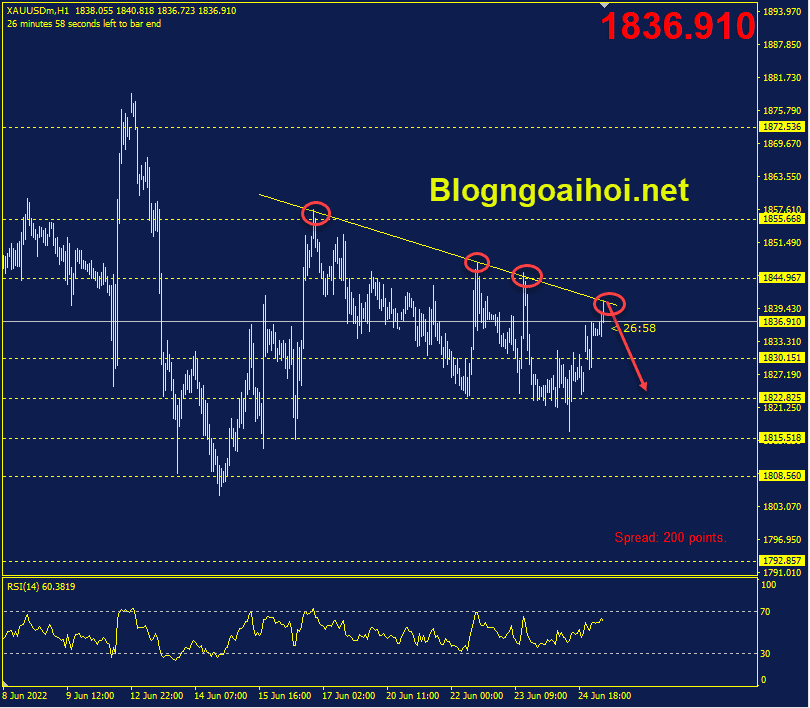 vang-27-6-trendline-giam_optimized.