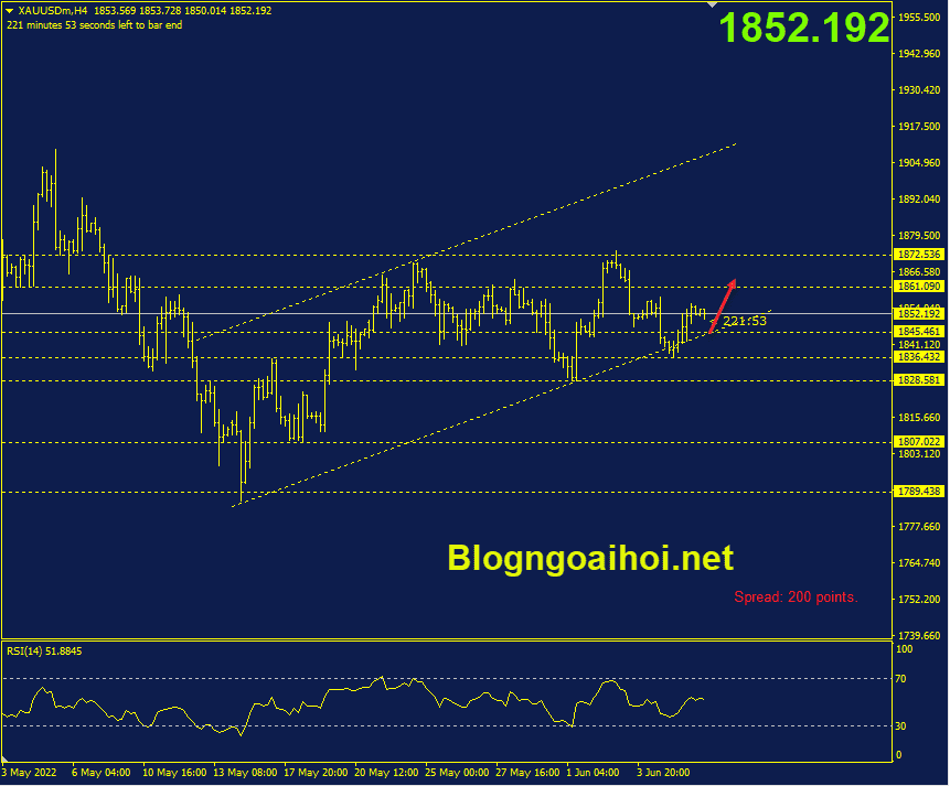 vang-8-6-bam-kenh-gia-tang_optimized.