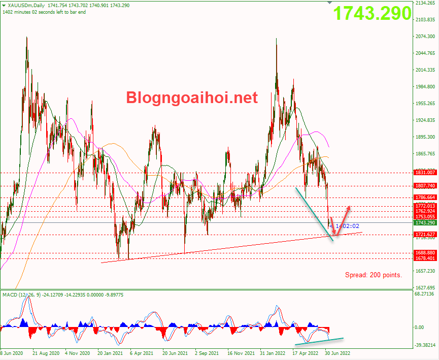 vang-8-7-giam-ve-trendline-ho-tro_optimized