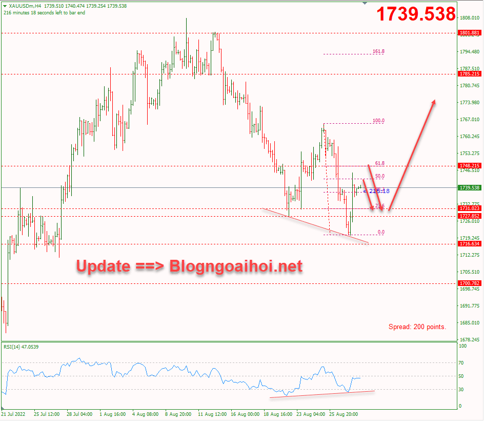 vang-30-8-khang-cu-fib-50_optimized.