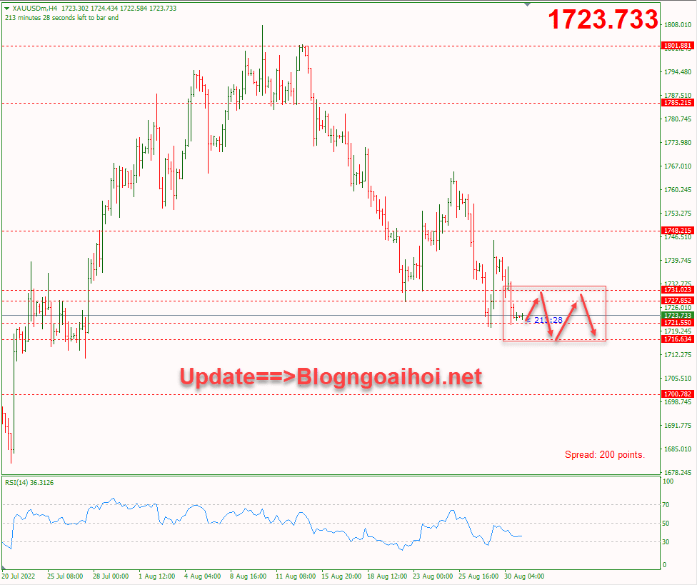 vang-31-8-di-chuyen-trong-range_optimized