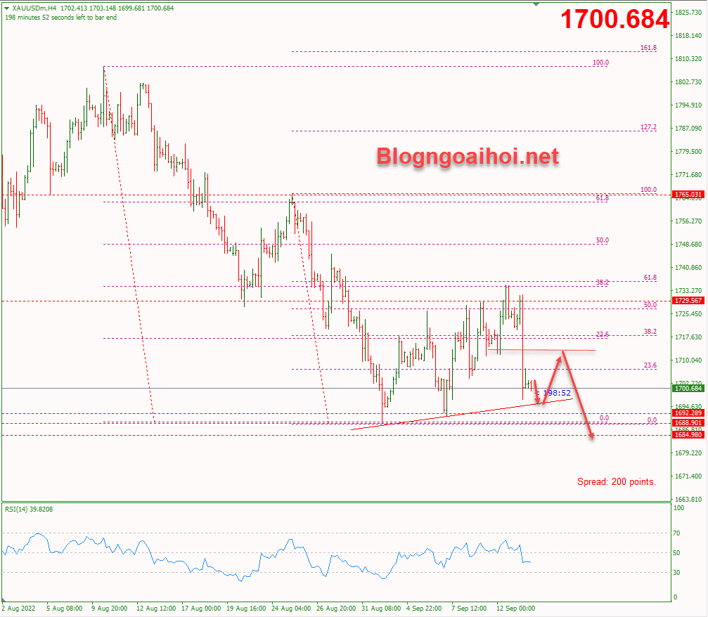 vang-14-9-trendline-ho-tro_optimized