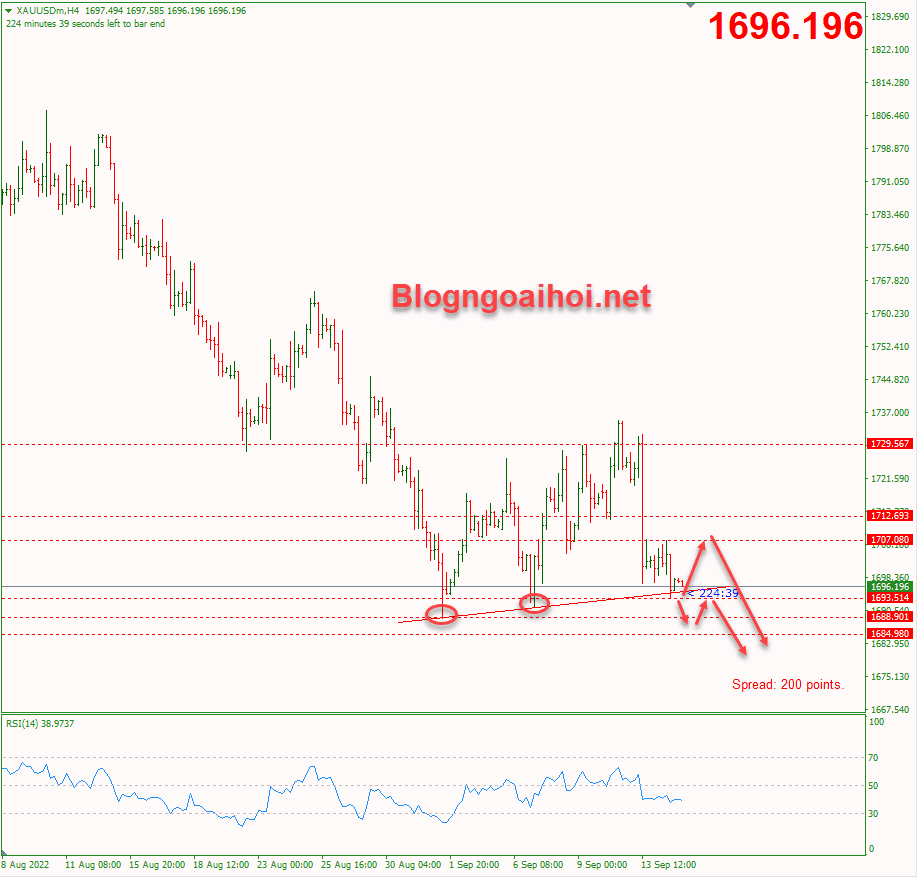 vang-15-9-trendline-ho-tro-tang_optimized