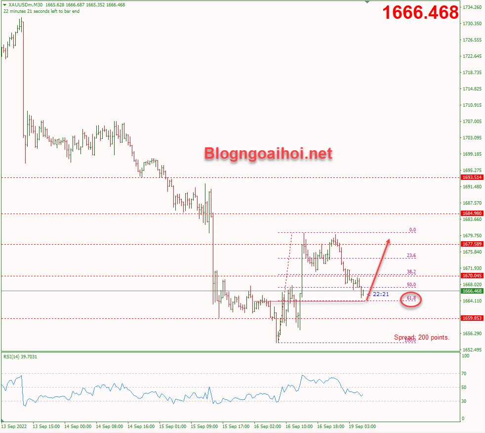 vang-19-9-vang-hoi-phuc-o-fib-618