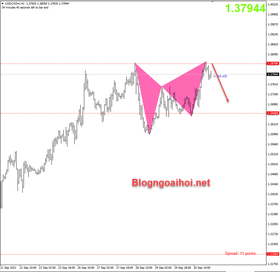 Chiến lược giao dịch vàng - ngoại tệ-usdcad