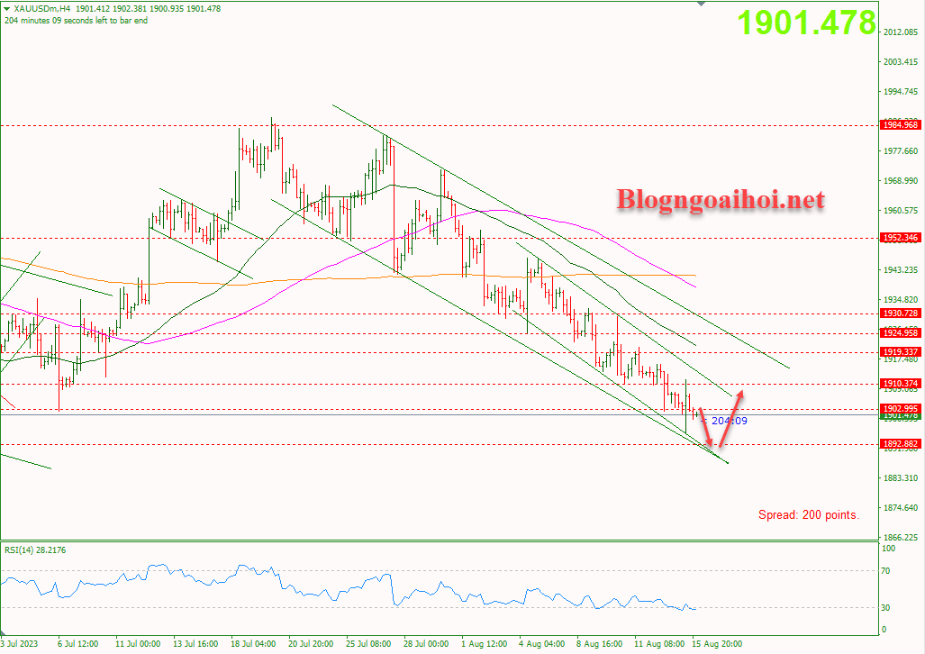 vang-16-8-di-chuyen-trong-kenh-gia-giam_optimized