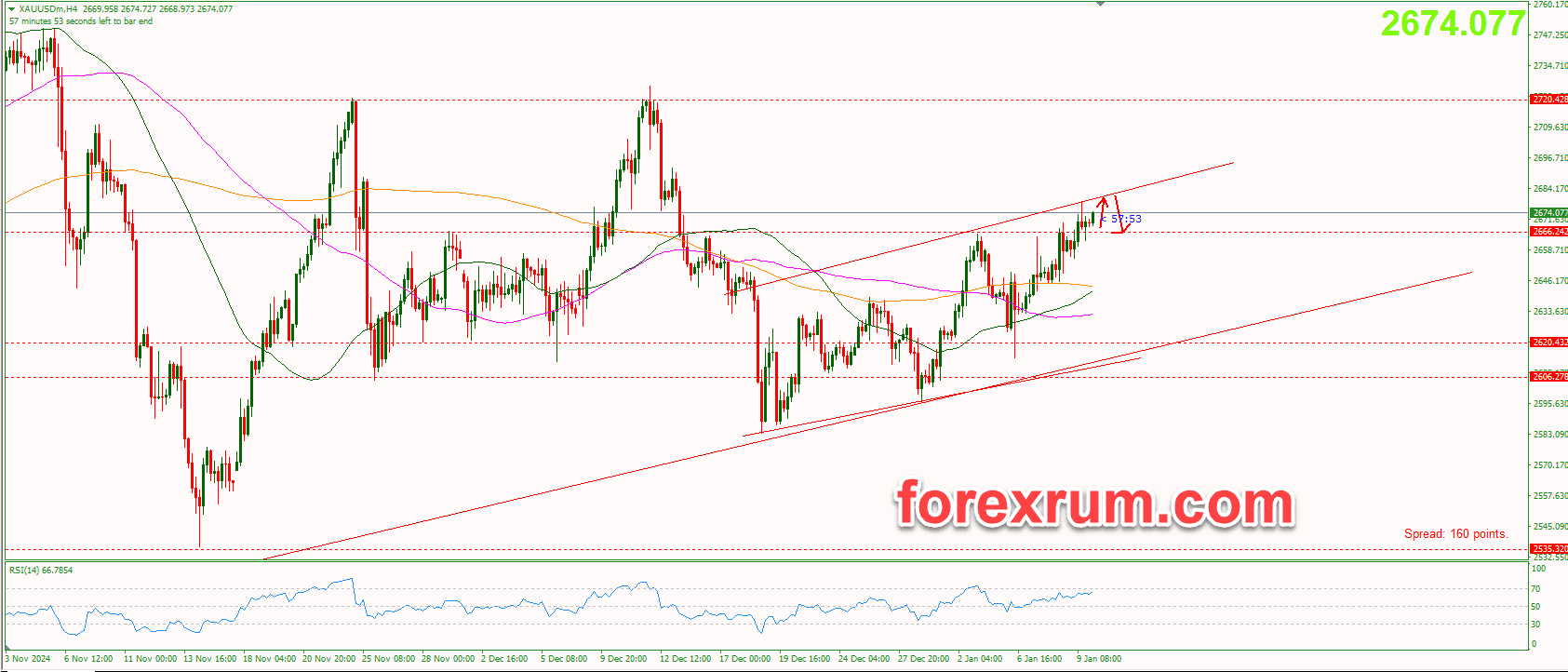 vang-10-1-trong-cho-nfp_optimized