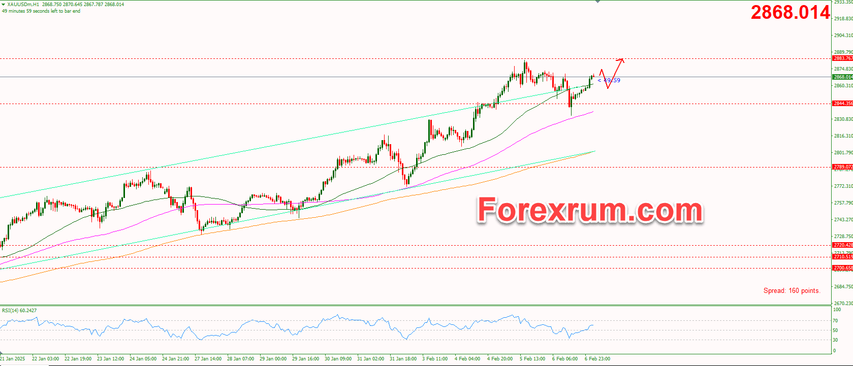 vang-7-2-chu-y-bang-luong-nfp_optimized