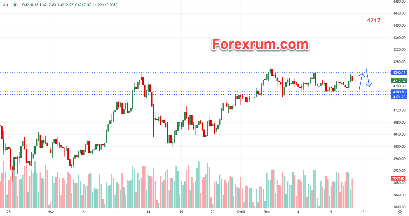 vang-11-12_optimized.